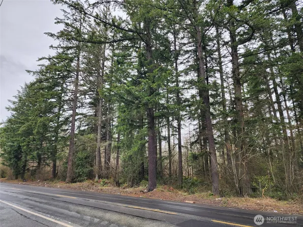 0 126th Avenue E, Graham, WA 98338