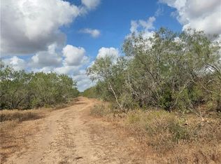 0 County Road 217, Concepcion, TX 78349