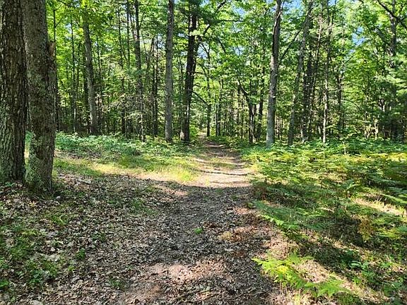 3rd image of 231 W Runway Dr