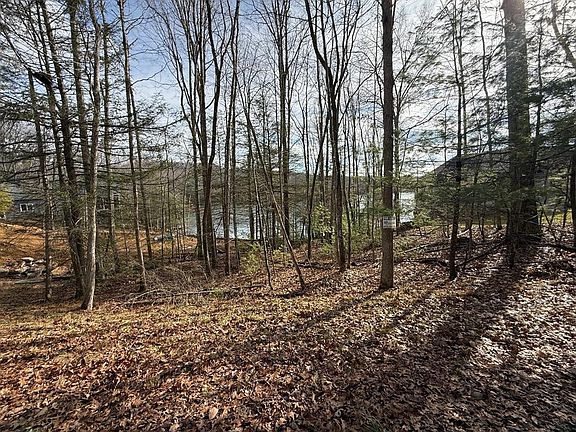 5th image of 167 Lakeside Dr