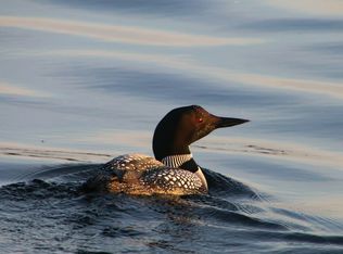 19810 See Gull Rd, Brainerd, MN 56401