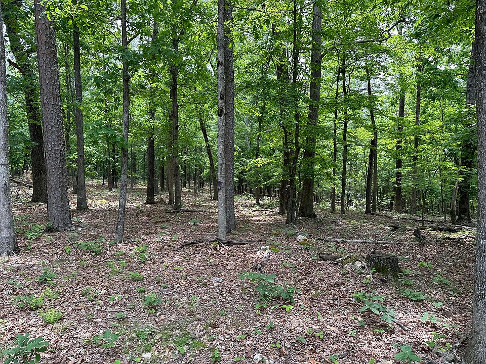 000 County Road 223 Lot 2, Ellsinore, MO 63937 Zillow