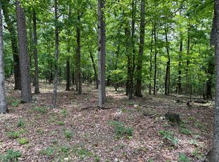 0 County Road 223 LOT 2, Ellsinore, MO 63937