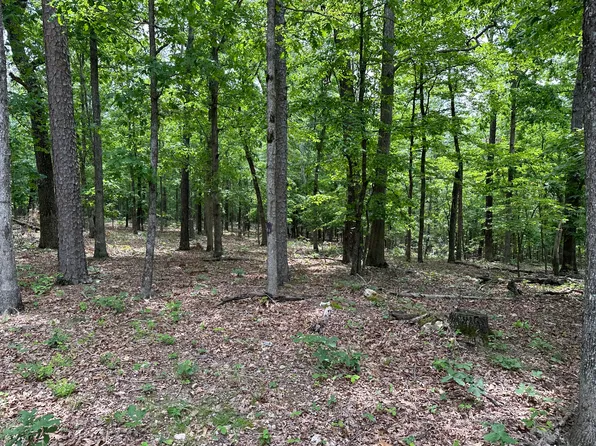 000 County Road 223 Lot 2, Ellsinor, MO 63937