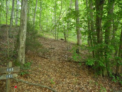 0 Leon Barron Rd, Sylva, NC, 28779