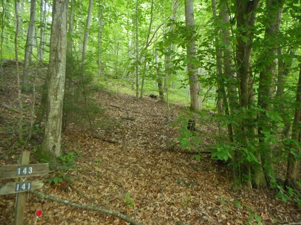 0 Leon Barron Rd, Sylva, NC 28779