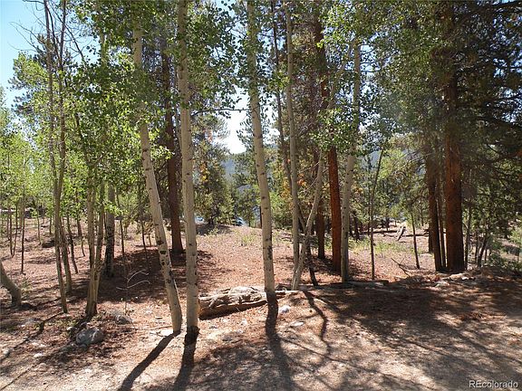 4th image of 256 La Plata Peak Dr