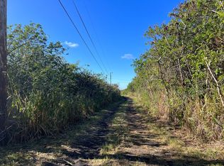 Holowai Rd LOT 43, Naalehu, HI 96772