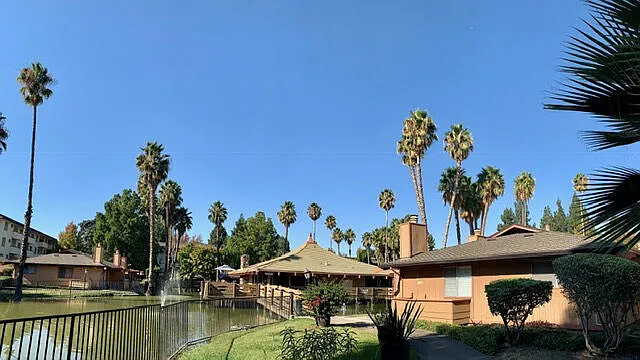 Palm Lake — Photo 3