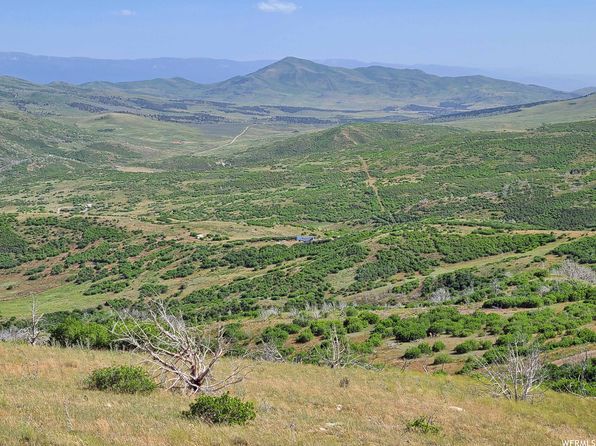 65 Razorback Dr, Fairview, UT 84629