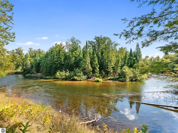 11208 Red Dog Trl, Grayling, MI 49738