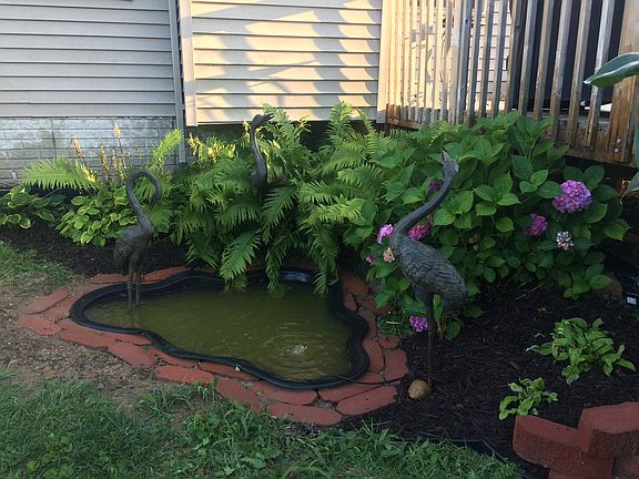 Pond with shade garden