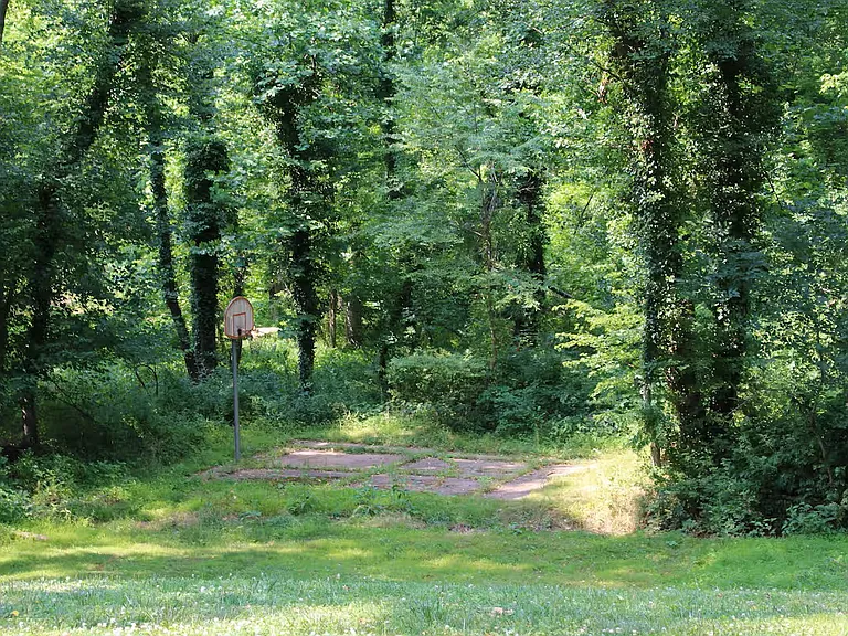 Wooded park directly behind house