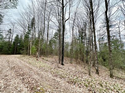 10 Acres Hwy #55, Pearson, WI, 54462