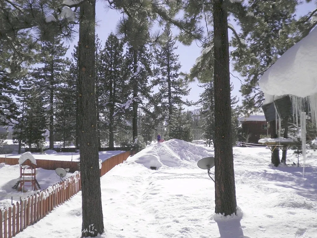 4 bed, 2000 sqft, $4,900 — Photo 2