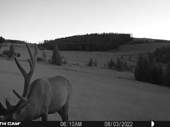 Venzuela Indian Creek Rd, Townsend, MT 59644