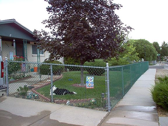 Front yard