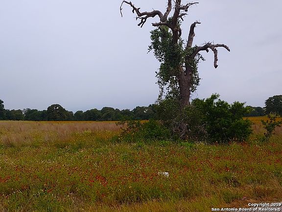 4th image of 602 Forest Ln