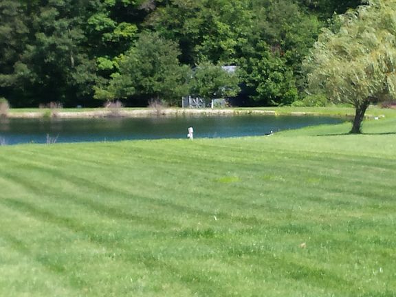 .83 Acre Lake stocked