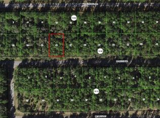 9259 N Patch Dr, Citrus Springs, FL 34434