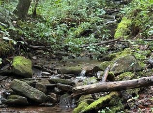 Trt 1 Forest Cove Trl, Hayesville, NC 28904