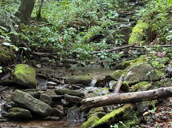 Trt 1 Forest Cove Trl, Hayesville, NC 28904
