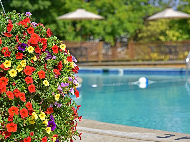 Sparkling Swimming Pool