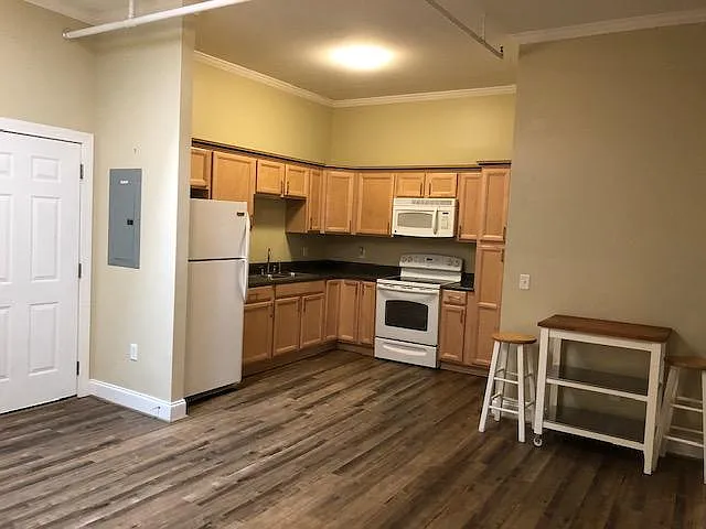 KITCHEN - 150 E Carolina Ave #204