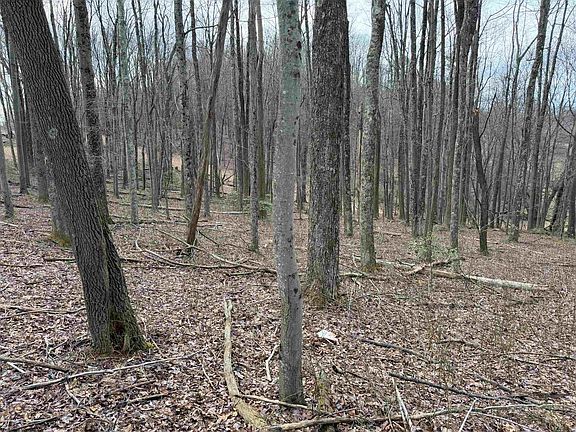 3rd image of Mount Hebron Rd