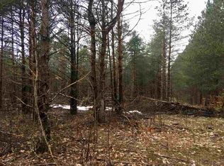 2500 Five Lakes Rd, Gaylord, MI 49735