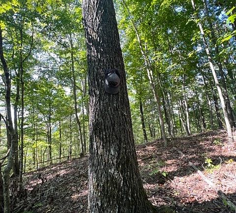 5th image of 0 Wet Mill Creek Rd