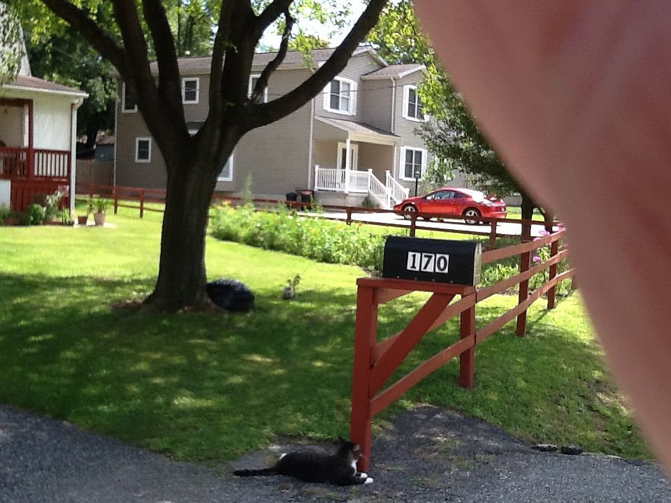 2nd image of 170 Riverside Rd