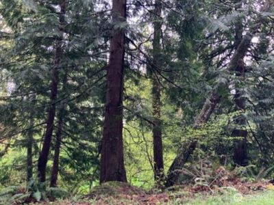 0 D Street, Bellingham, WA, 98225