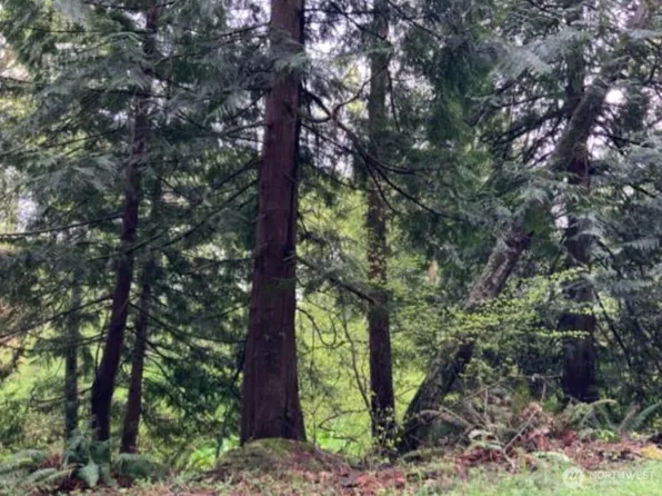 0 D Street, Bellingham, WA 98225