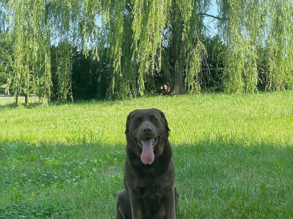 4141 S Lee Hwy #1, Natural Bridge, VA 24578