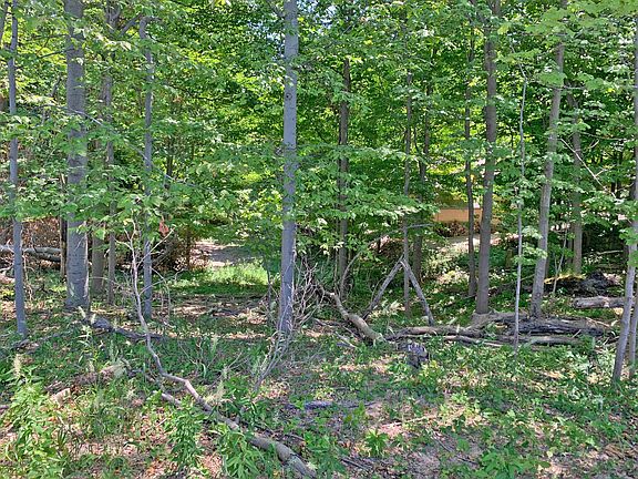 5th image of 4321 S Lakeshore Dr