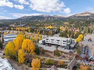 110 S Park Ave APT 128, Breckenridge, CO 80424