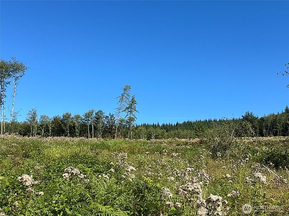 2nd image of 0 Cedar Creek Road