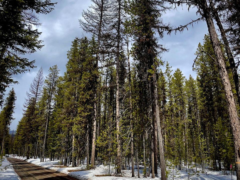 825 Trail Creek Rd, Polebridge, MT 59928 MLS 30002733 Zillow