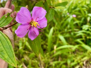 Orchid Land Dr LOT 4-B, Kurtistown, HI 96760