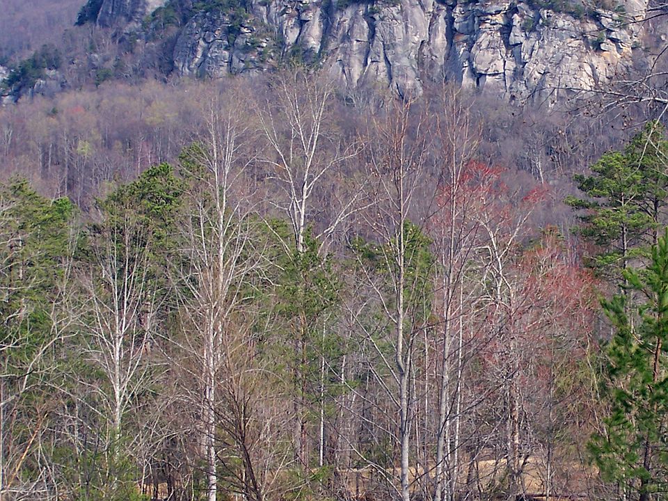 2nd image of 90 Bald Hill Ct