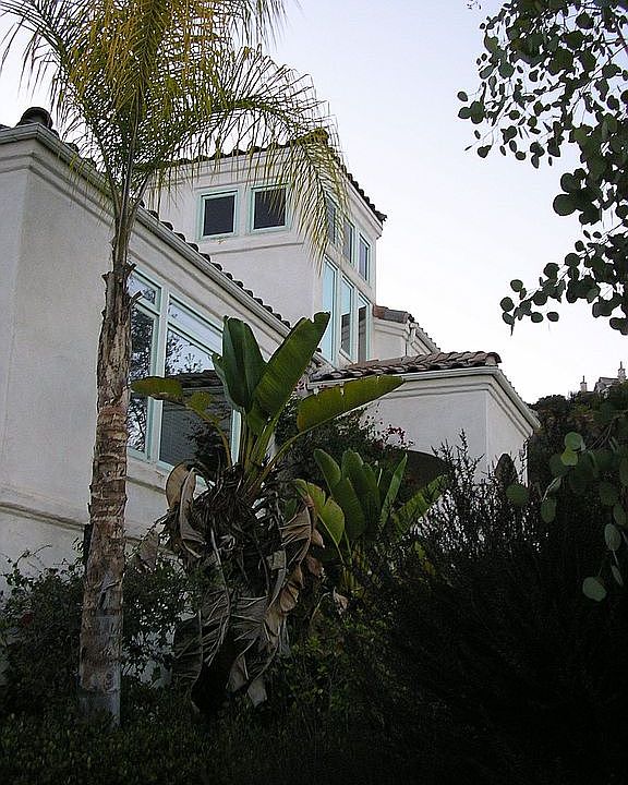 1st image of 503 Coronado Hills Dr