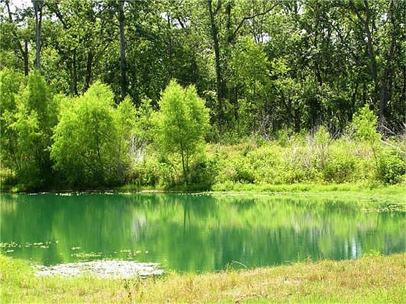  View of Harris Lake behind homesite