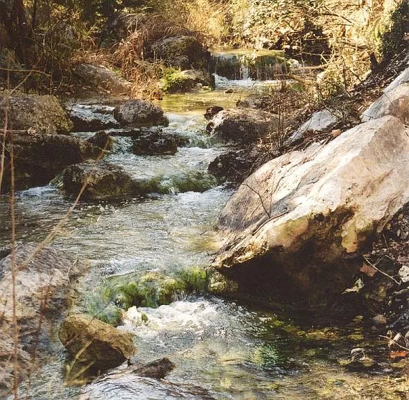 Eanes Creek below when weather permits
