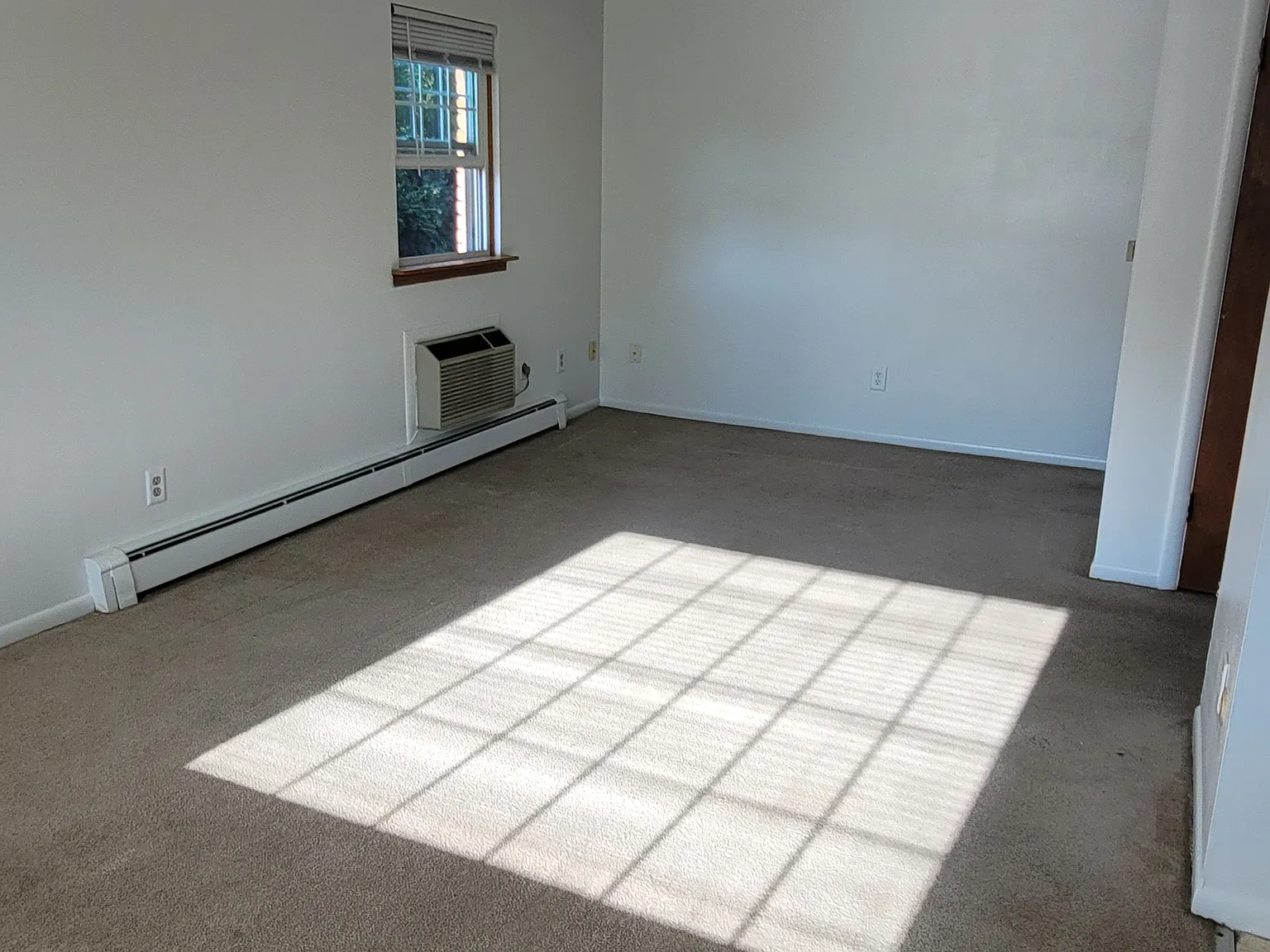 1 bed, 650 sqft, $910 — Photo 4