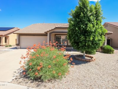 11232 E Dover St, Mesa, AZ, 85207