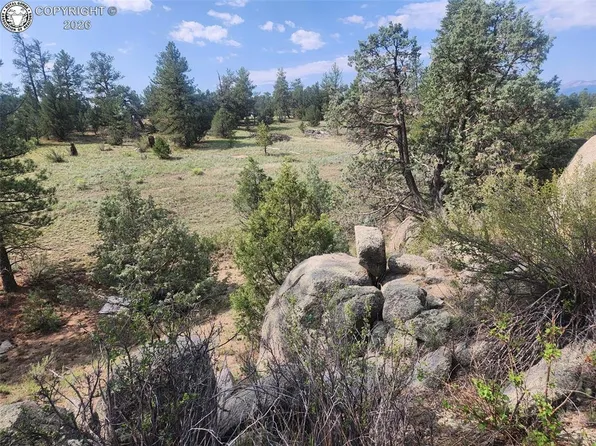 1262 35th Trl, Cotopaxi, CO 81223