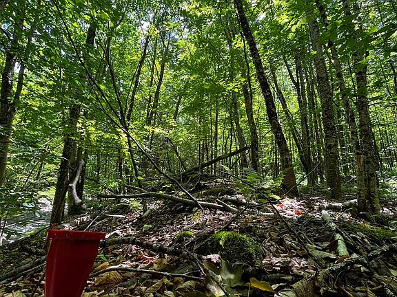 2nd image of 00 Leclair Road