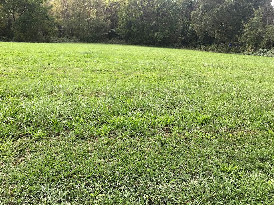 2nd image of LOT 8 Ostrich Ln