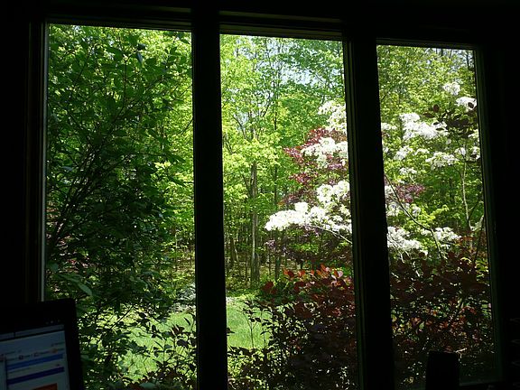 View from front office window